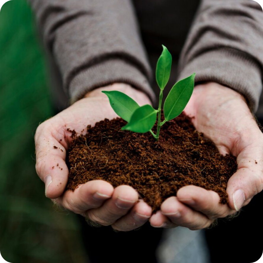 Khởi công hệ thống xử lý nước thải