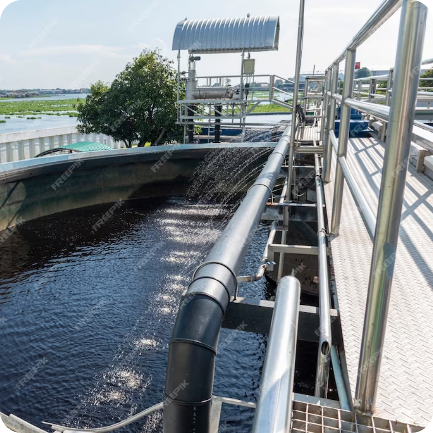 giấy phép đăng ký kinh doanh